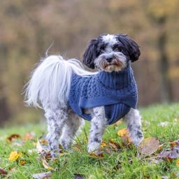 Trixie Strikpullover Trøje Til Hunden Design Norwood Blå